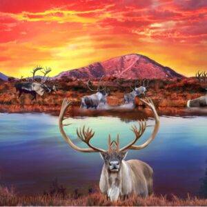 Caribou Migration in Labrador