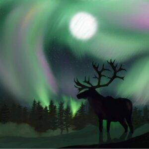 Mysterious and Enchanting