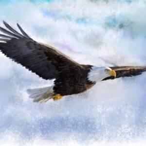 Flying High with the Eagle