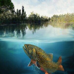 Fisherman's Dream