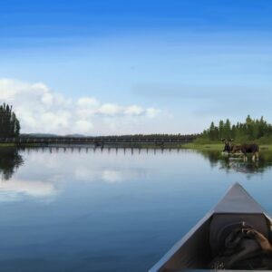 Moose at Jean Lake