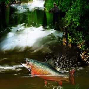 Speckle Rapids